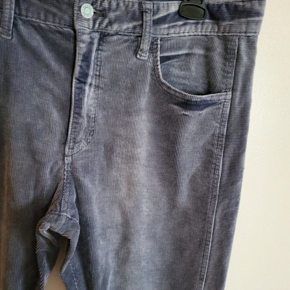 Pilcro Anthropologie Slim Boyfriend Corduroy Pants Blue-Gray Size 32 - Picture 3 of 9
